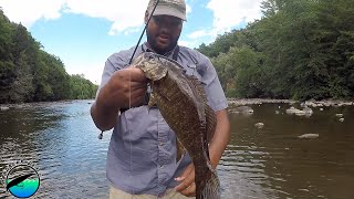 How to Catch 50 Smallmouth in one hour on the Housatonic River [upl. by Aivart386]