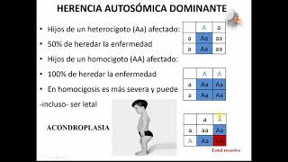 Genética Herencia autosómica dominante [upl. by Deborah]