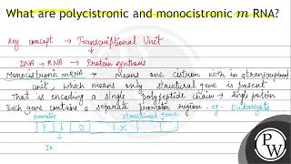 What are polycistronic and monocistronic \ m \ RNA [upl. by Pooley]