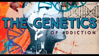 Part 2 How Does New Genetic Information Evolve Gene Duplications [upl. by Hakceber]