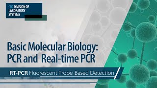 Basic Molecular Biology PCR and RealTime PCR – RTPCR Fluorescent ProbeBased Detection [upl. by Enuahs]