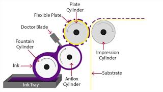 Flexographic Printing Explained [upl. by Sitto]