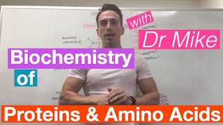 Proteins amp Amino Acids  Biochemistry [upl. by Odlaner]