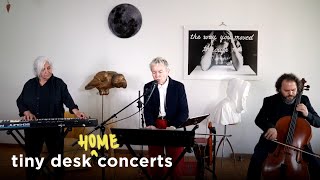 Laurie Anderson Tiny Desk Home Concert [upl. by Hagood]