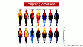 Mapping Emotions [upl. by Nomaid797]