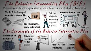 Behavior Intervention Plan BIP Overview [upl. by Gnouhc952]