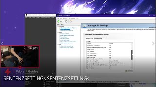 SEN TenZ NVidia Settings amp Monitor Settings 2021 [upl. by Frodi]