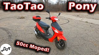 2018 Taotao Pony 50cc Moped – Ownership Update [upl. by Tonie]