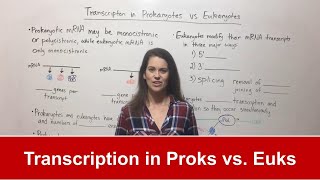 Transcription in Prokaryotes vs Eukaryotes [upl. by Kokaras476]