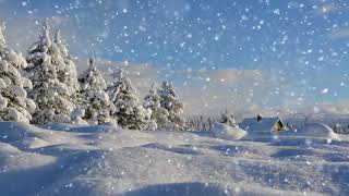 Winter wonderland with relaxing piano music Smart TV background video [upl. by Naimaj564]