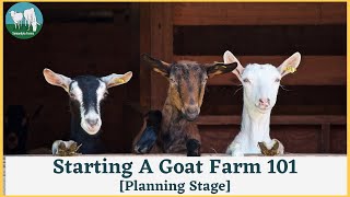 How To Start A Goat Farm In Ghana  Planning Stage [upl. by Yentihw]