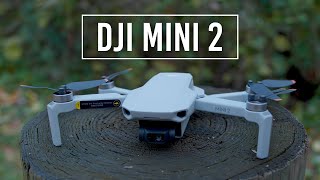 DJI Mini 2 Drone  Handson Review [upl. by Viridis]