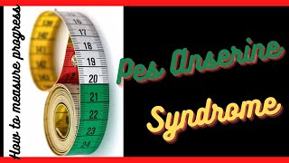 Pes Anserine Bursitis  How to Measure Progress  TriPhysio [upl. by Atnamas400]