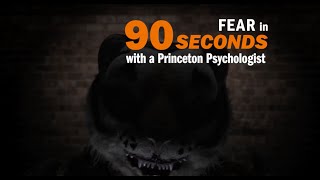 Fear explained in 90 seconds [upl. by Guillemette961]