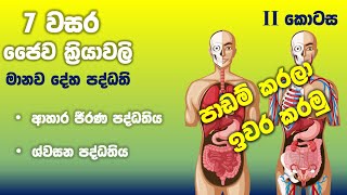 Grade 07 Science lessons in Sinhala  Unit 12  7 වසර විද්‍යාව 12 පාඩම 2 කොටස  ජෛව ක්‍රියාවලි [upl. by Worthington]