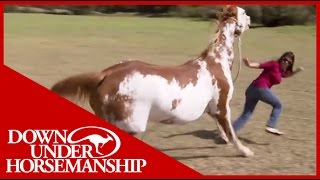 Once Bitten Twice Shy How to Train a Dangerous Dominant Horse [upl. by Darnall]