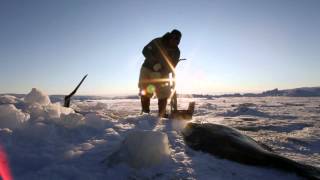 Inuit Culture in Greenland [upl. by Rivi951]