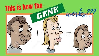 Heredity Inheritance and Variation Grade 9 Genetic Terms [upl. by Annayhs]