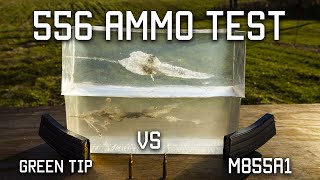 556 Ammo Test  Green Tip VS M855A1  Tactical Rifleman [upl. by Arabrab]