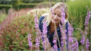 Lythrum Salicaria  Best Late Summer Plants for Your Garden [upl. by Dina413]