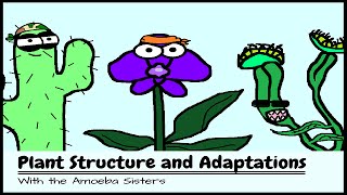 OLD VIDEO Plant Structure and Adaptations [upl. by Hezekiah]