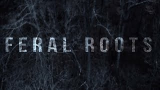 Rival Sons  Feral Roots Official Visualizer [upl. by Ahsratan695]