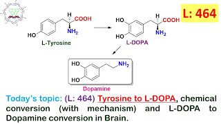 L 464Tyrosine to LDOPA mechanism amp LDOPA to Dopamine conversion in Brain by Dr Tanmoy Biswas [upl. by Holzman]