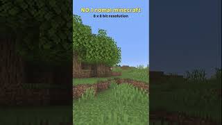 Minecrafts most REALISTIC texture packs [upl. by Trant]