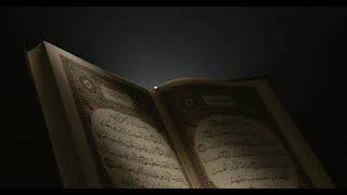 Holy Quran Video Footage  Holy Quran Free Stock Footage Video No Copyright [upl. by Adnar]