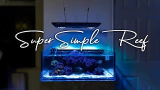 How To Setup a Super Simple Saltwater Reef Aquarium for Beginners [upl. by Annhej]