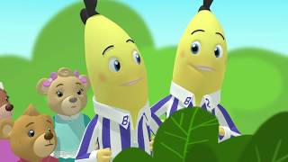 The Bird Song  Animated Episode  Bananas In Pyjamas Official [upl. by Beaulieu]