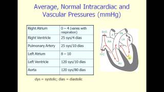 Normal Intracardiac Pressure [upl. by Nerdna752]