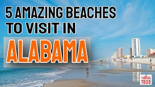 5 Amazing Beaches To Visit in Alabama [upl. by Munmro947]