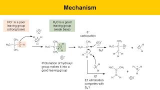 SN1 Reaction Experiment Synthesis of tertButyl Chloride Part 1 Prelab Lecture [upl. by Violante]