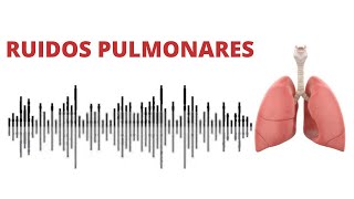 AUSCULTACIÓN PULMONAR ruidos normales y anormales [upl. by Leinaj]