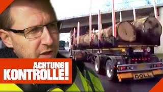 Vollbeladener HolzLKW auf der Autobahn Ist er überladen  Achtung Kontrolle  Kabel Eins [upl. by Reviere509]