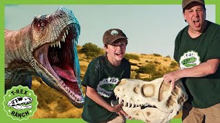 Dinosaur Adventure in the Desert  TRex Ranch 40 MINS of Kids Videos [upl. by Noraa]