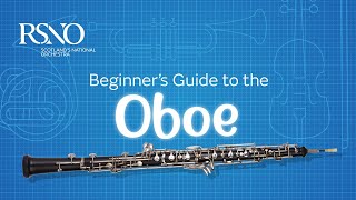 How To Play The Oboe A RSNO Beginners Guide [upl. by Notned]