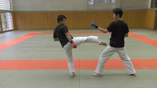 【KARATE TUTORIAL】Kumite Tactics Against Bigger Opponents [upl. by Ilil]