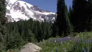 Journey Around the Mountain Exploring Mount Rainier National Park [upl. by Eiclek281]