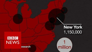 Where do Americas undocumented immigrants live BBC News [upl. by Cressi534]