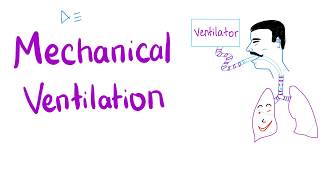 Mechanical Ventilation  Most COMPREHENSIVE Explanation 🤫 [upl. by Enigroeg]