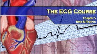 FATE Exam Focused Assessed Transthoracic Echo [upl. by Eittel895]