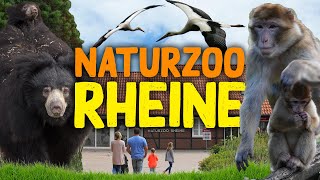 NaturZoo Rheine  ZooEindruck [upl. by Aved]