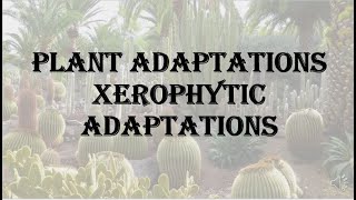 Plant Adaptations  Xerophytic Adaptations HPU BSc 1st year [upl. by Nirraj]