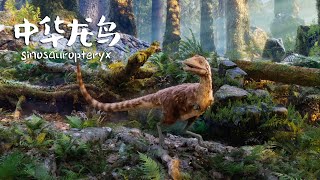 Sinosauropteryx is the first feathered dinosaur discovered in the world  中华龙鸟是世界上发现的第一只长羽毛恐龙 [upl. by Divadnahtanoj]