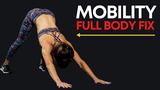 The Perfect Mobility Routine FULL BODY FIX [upl. by Brianna]