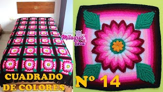 Como tejer el Cuadrado o muestra de colores N° 14 a crochet para colchas y cojines paso a paso [upl. by Eelime]