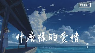 高鱼  什么样的爱情【動態歌詞Lyrics Video】 [upl. by Akinna]