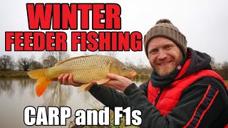 WINTER FEEDER FISHING  Feeder Fishing for Carp and F1s with TINY FEEDERS  Rob Wootton [upl. by Riorsson]